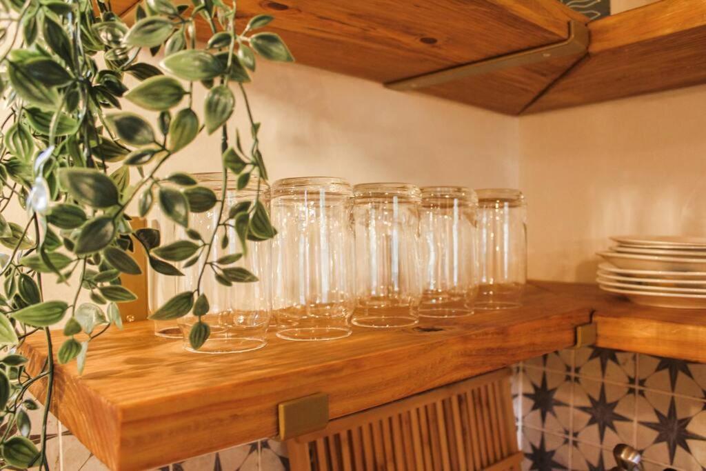 The Greenhouse Cozy Cottage- Walk To Downtown! Holiday home *